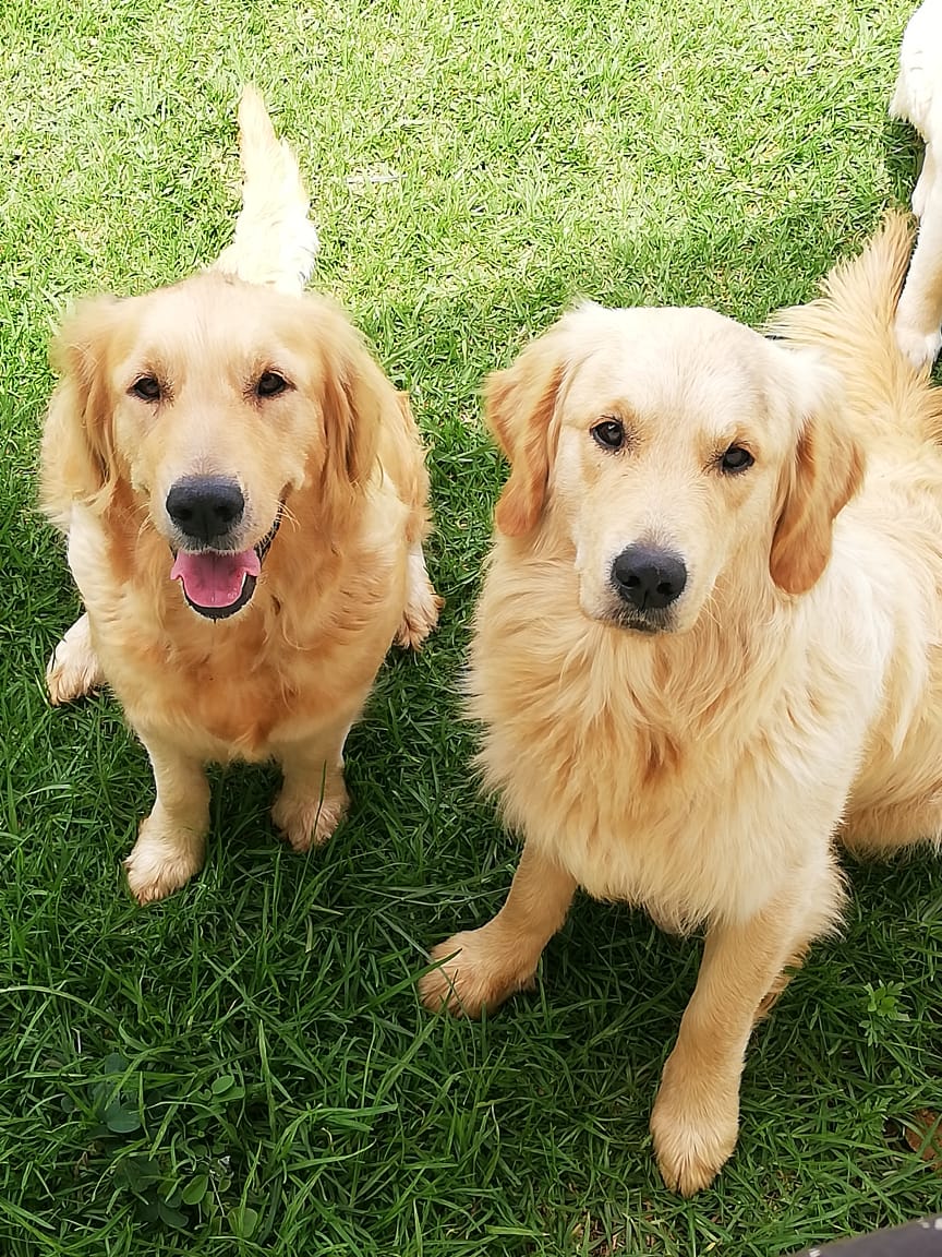 Troy & Lunna Troy & Lunna